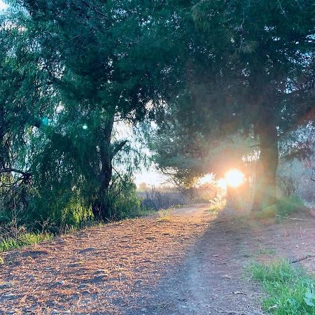 Monte Rosado Viviendas Vacacionales La Peza Εξωτερικό φωτογραφία