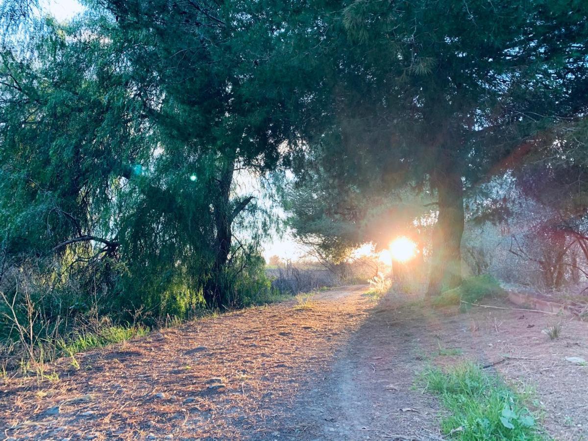 Monte Rosado Viviendas Vacacionales La Peza Εξωτερικό φωτογραφία
